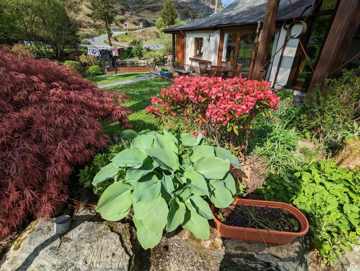 Bryn Elltyd Eco House Vendégház Blaenau Ffestiniog Kültér fotó
